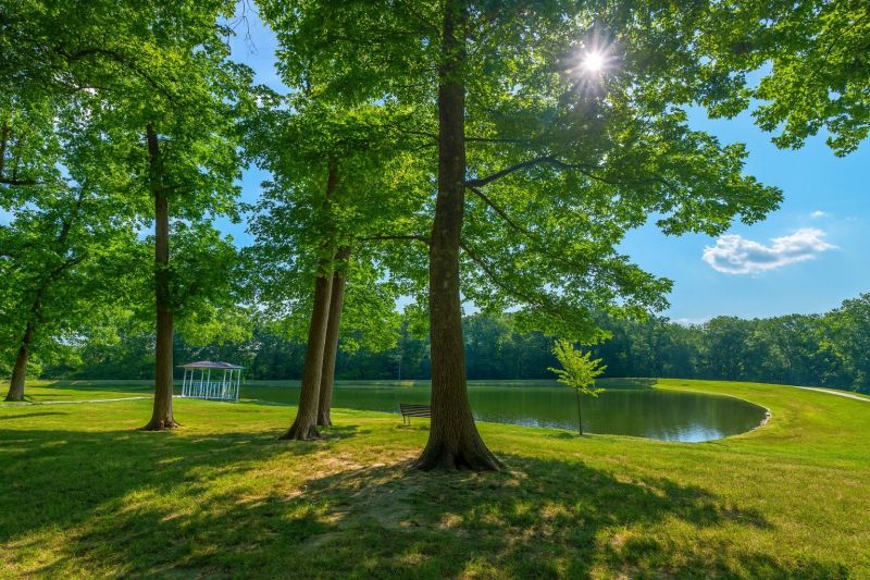 Best Shower Remodeling pros in Wrightwood, CA