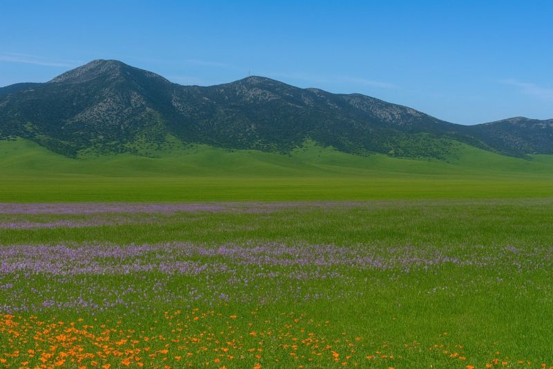 Best Shower Remodeling pros in Rosamond, CA